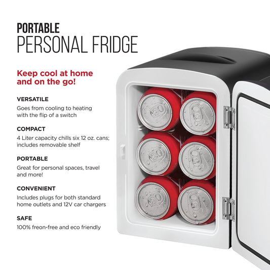 Mini Portable Black Fridge